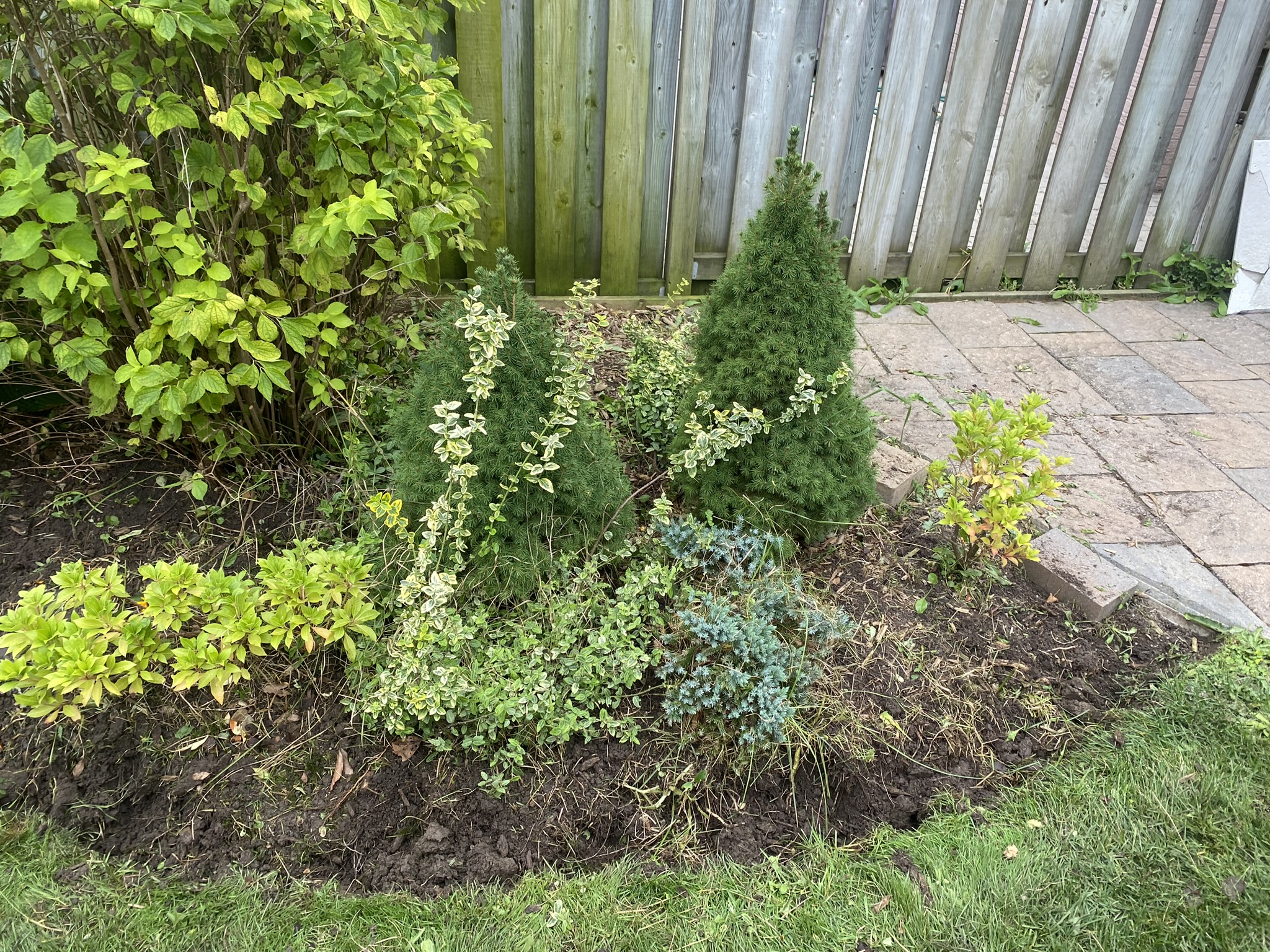 Student with lawn equipment